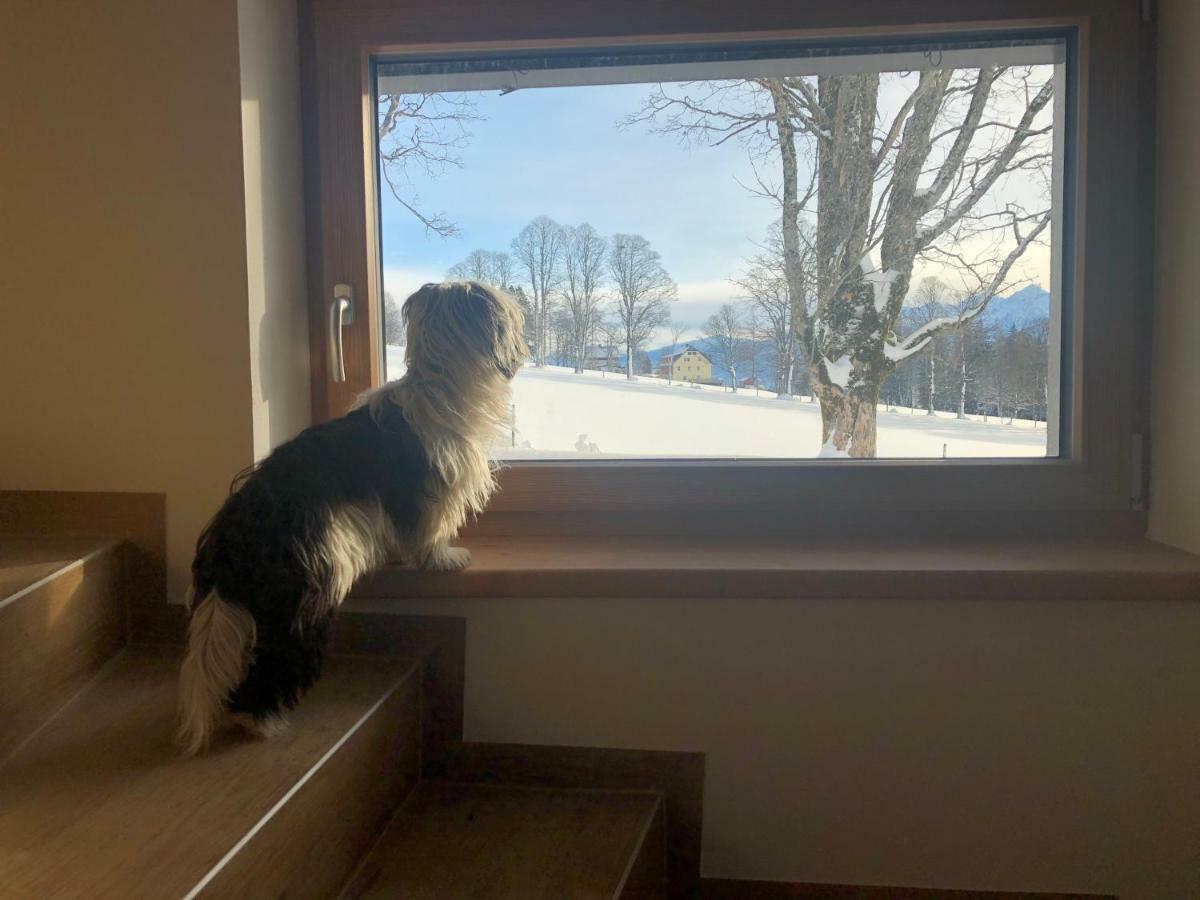 Haus Am Berg Lägenhet Ramsau am Dachstein Exteriör bild