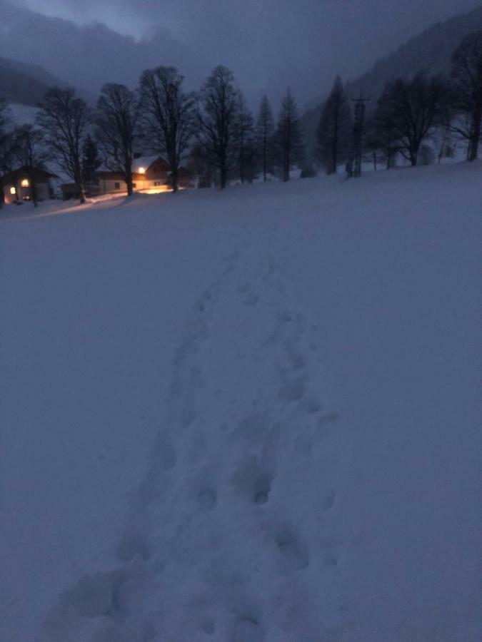 Haus Am Berg Lägenhet Ramsau am Dachstein Exteriör bild